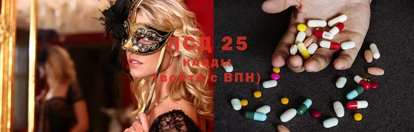тгк Абинск